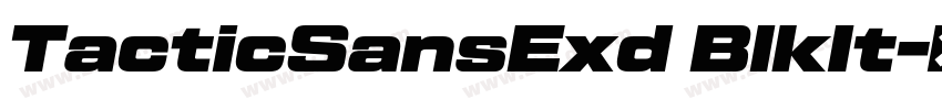TacticSansExd BlkIt字体转换